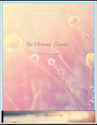 The Ultimate Planner Daily Edition